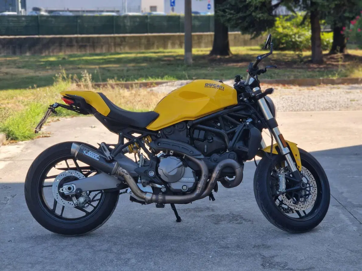 Ducati Monster 821 (2018 - 20) (3)