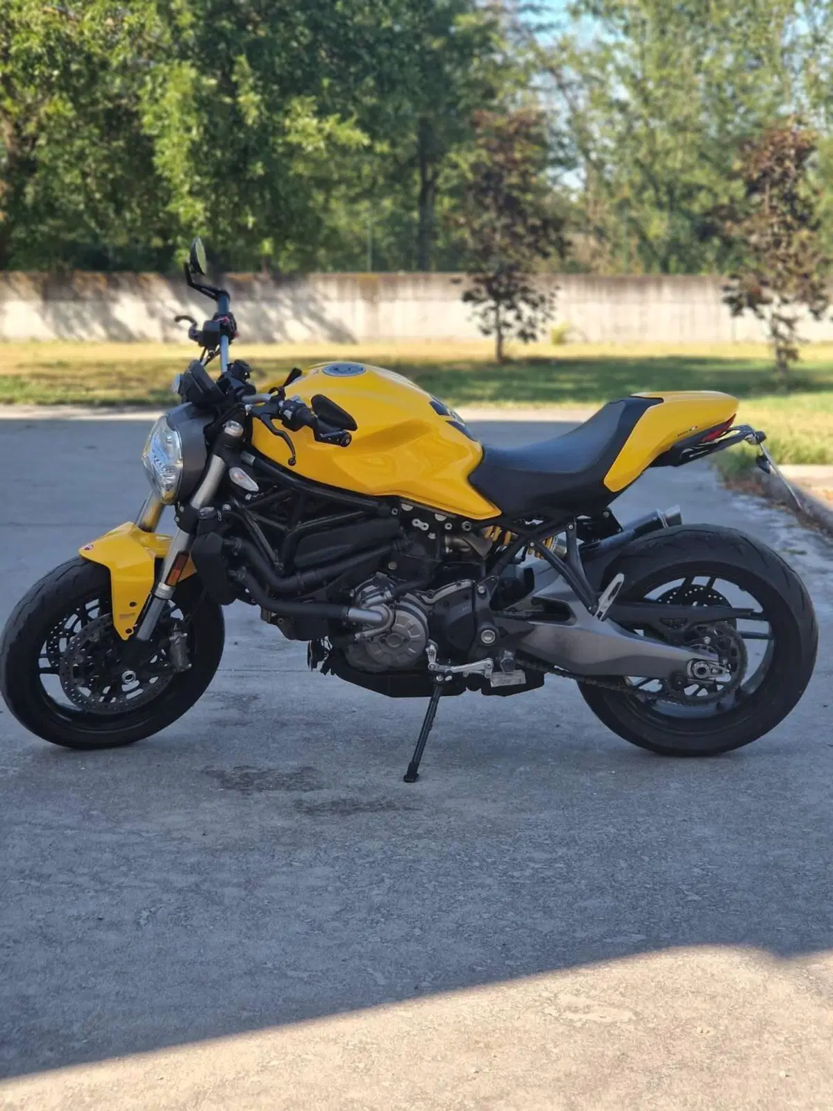 Ducati Monster 821 (2018 - 20) (5)