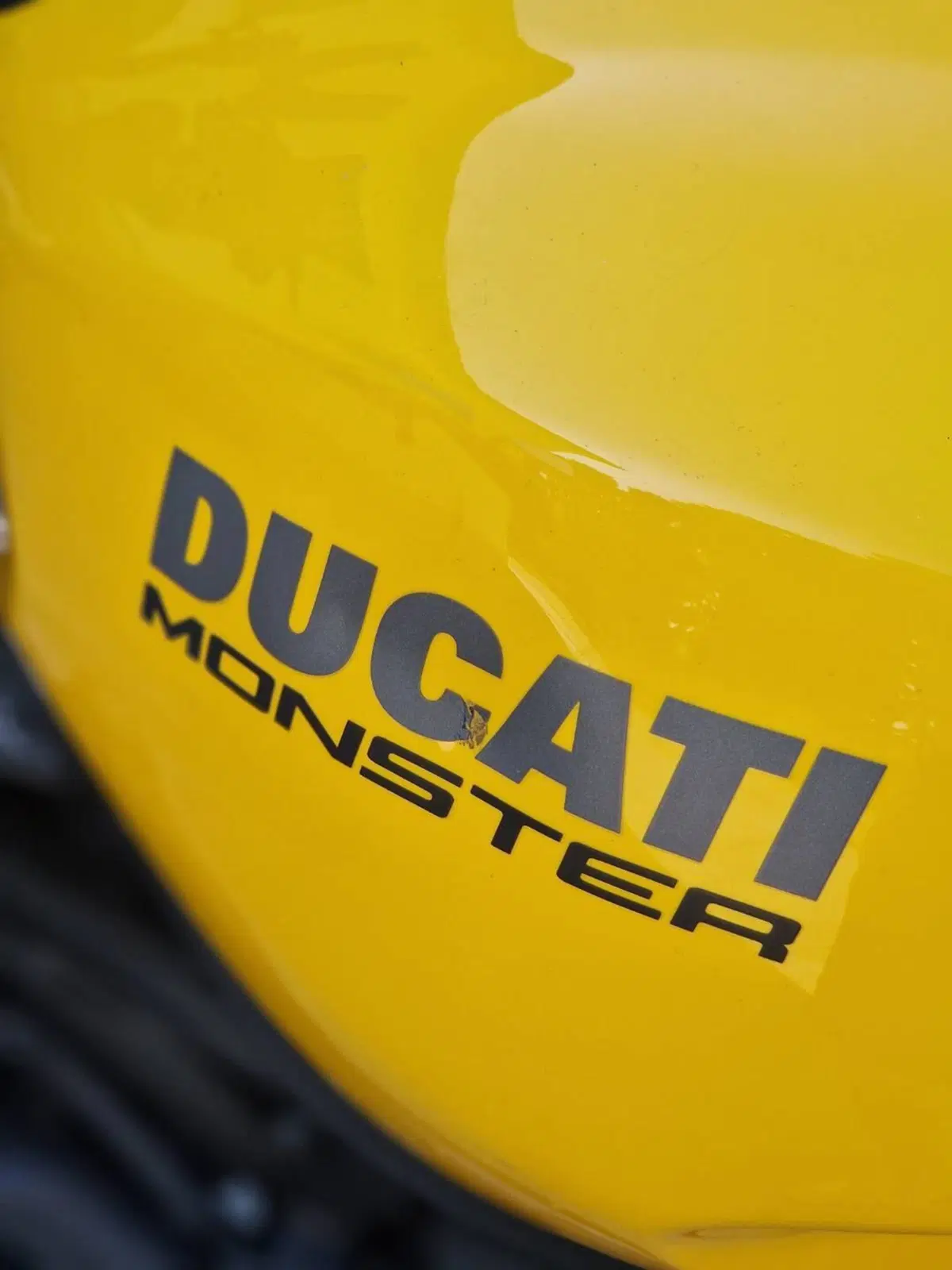 Ducati Monster 821 (2018 - 20) (12)