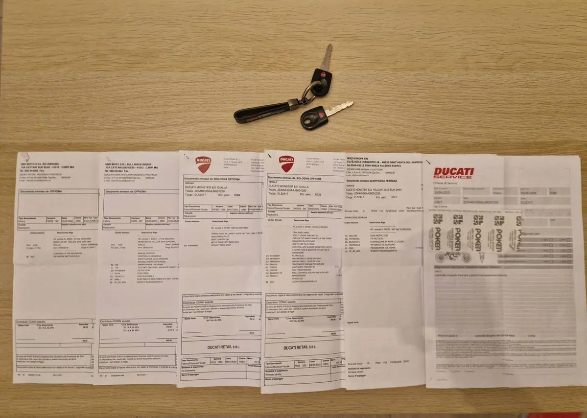 Ducati Monster 821 (2018 - 20) (13)
