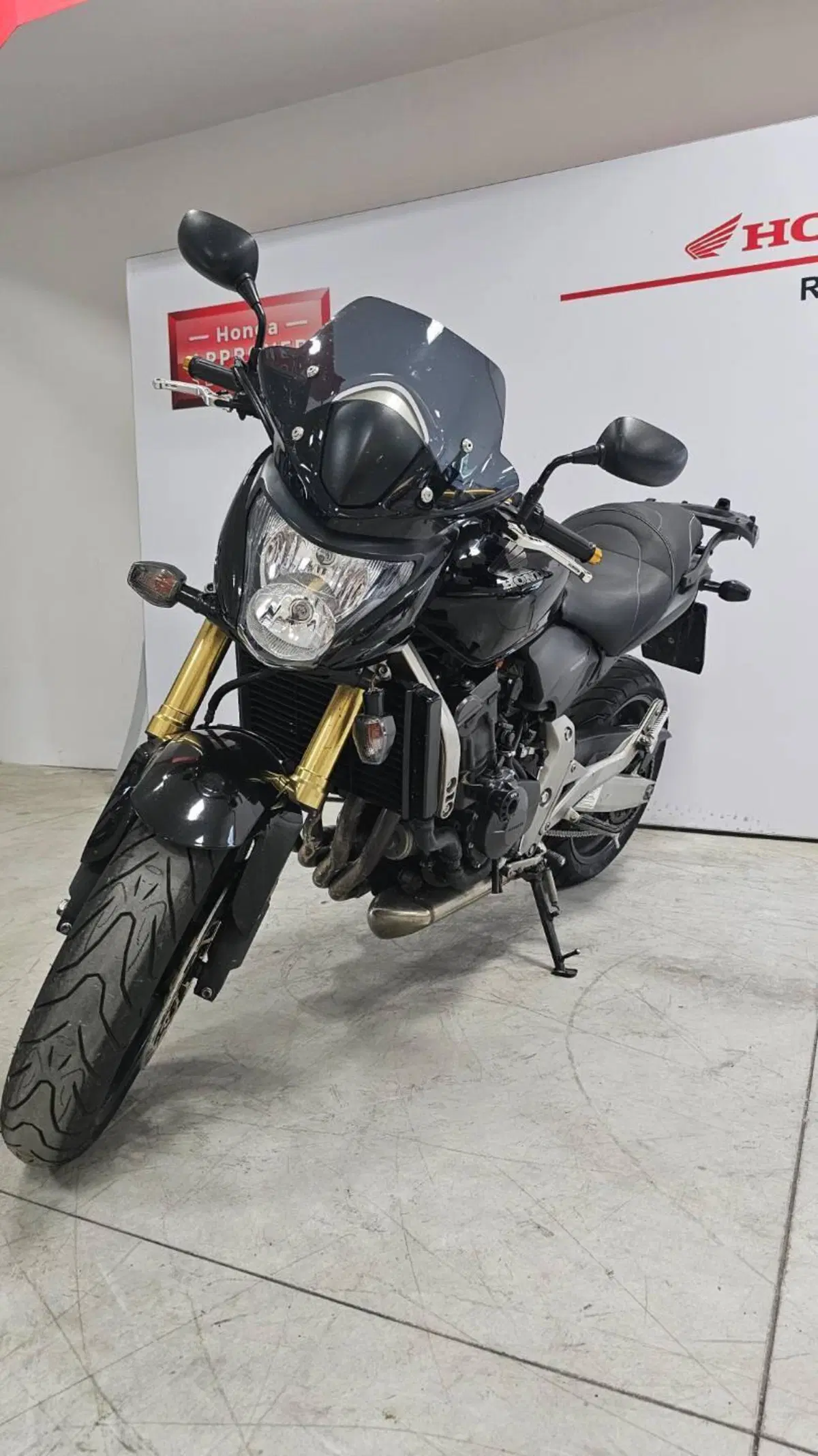 Honda Hornet 600 (2007 - 10) (3)