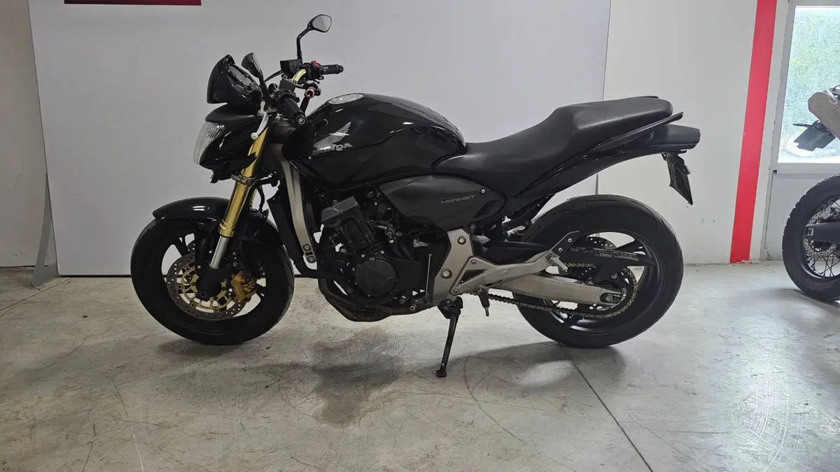 Honda Hornet 600 (2007 - 10) (2)