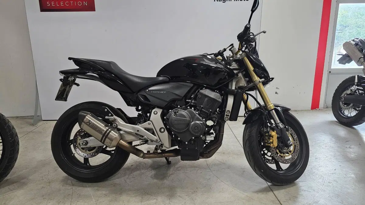 Honda Hornet 600 (2007 - 10)