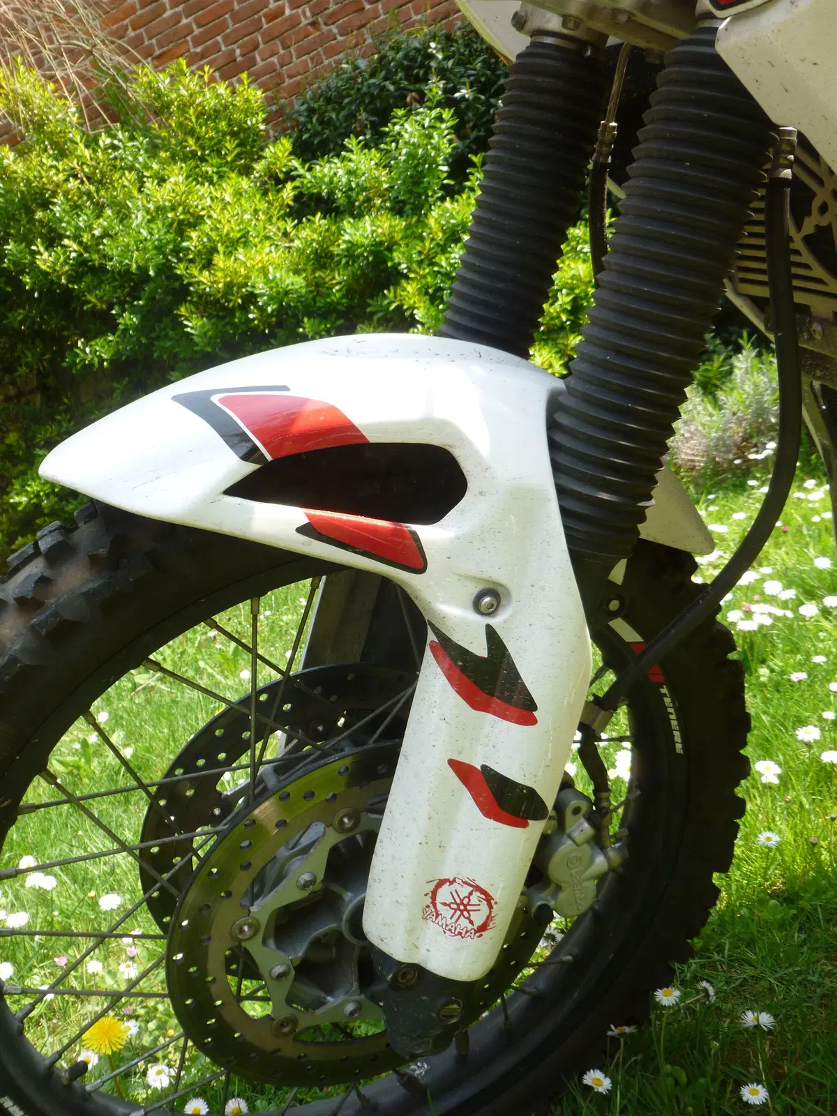 Yamaha XT 660z Special MCh2r-First Element (14)