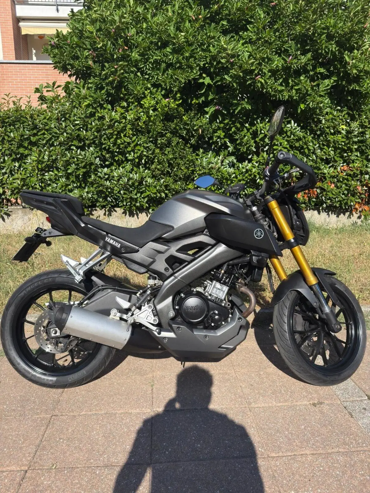 Yamaha MT-125 ABS (2015 - 16) (7)