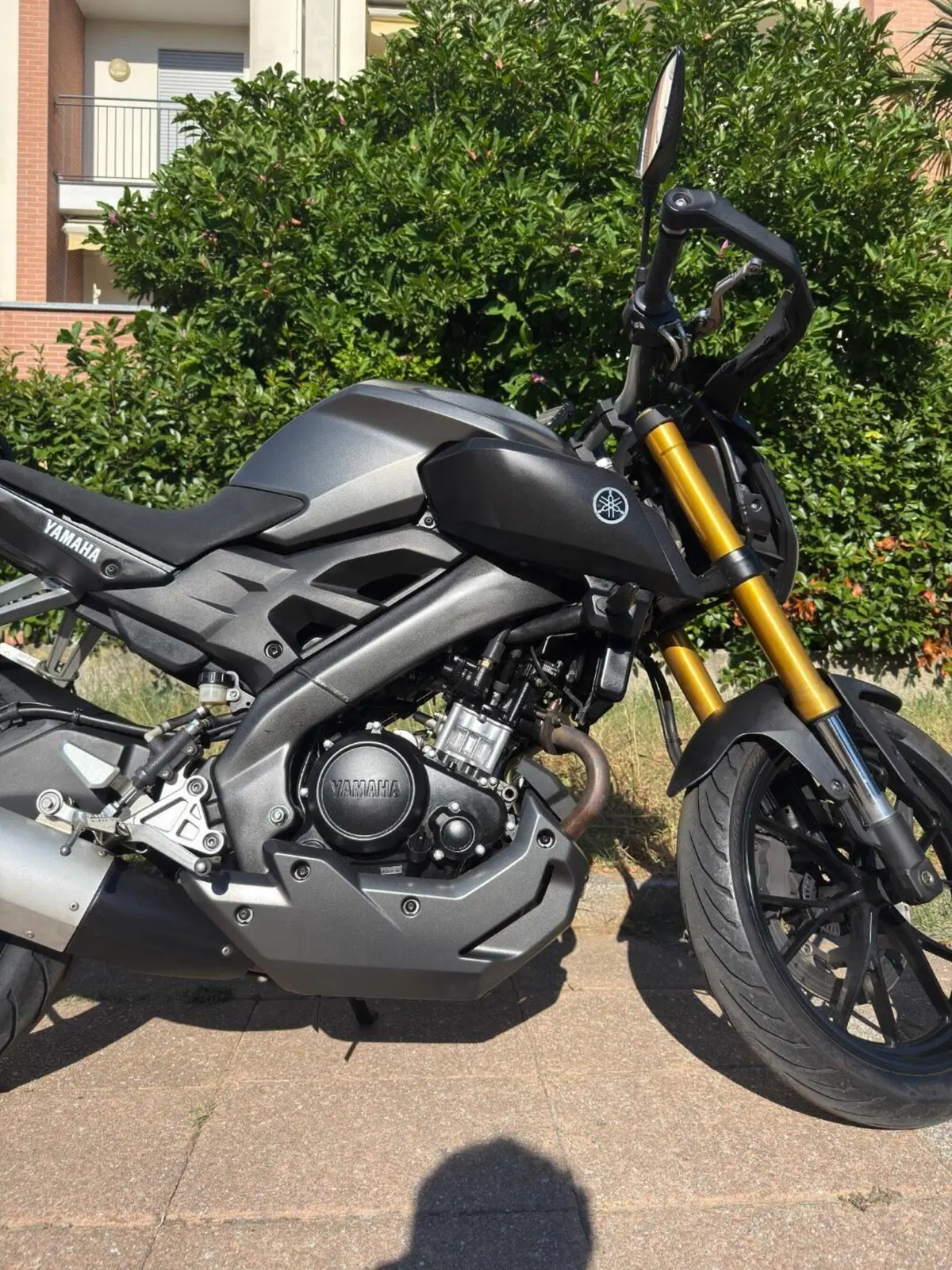 Yamaha MT-125 ABS (2015 - 16) (8)