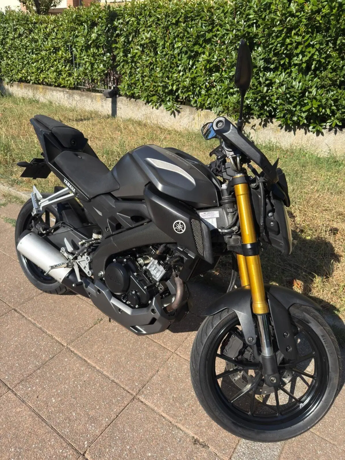 Yamaha MT-125 ABS (2015 - 16) (9)
