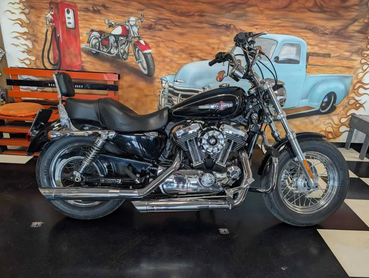 Harley-Davidson 1200 Custom (2007 - 13) - XL 1200C (2)