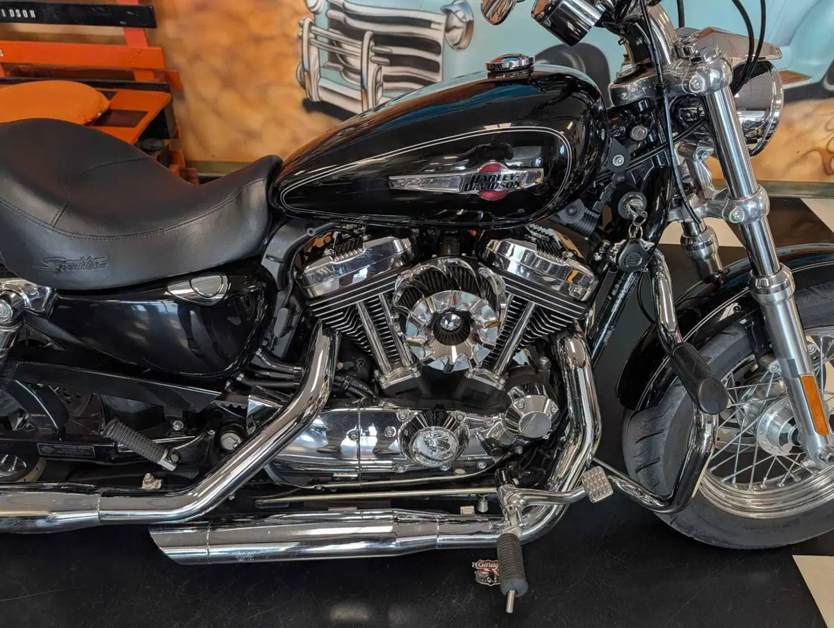 Harley-Davidson 1200 Custom (2007 - 13) - XL 1200C (3)