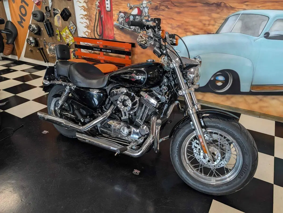 Harley-Davidson 1200 Custom (2007 - 13) - XL 1200C (4)