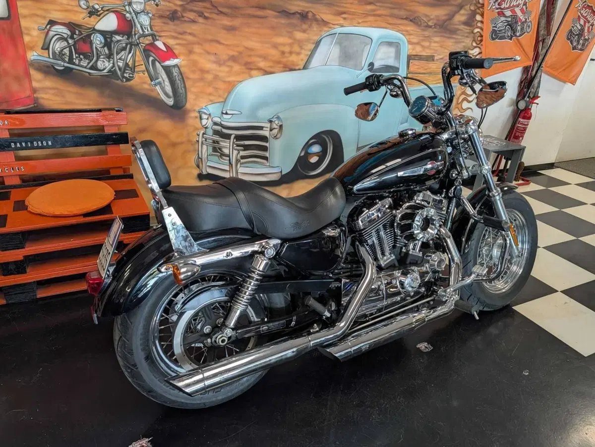 Harley-Davidson 1200 Custom (2007 - 13) - XL 1200C (5)