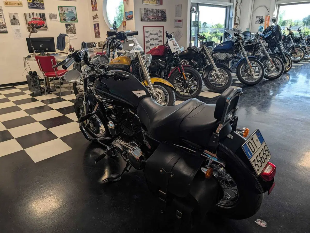 Harley-Davidson 1200 Custom (2007 - 13) - XL 1200C (6)