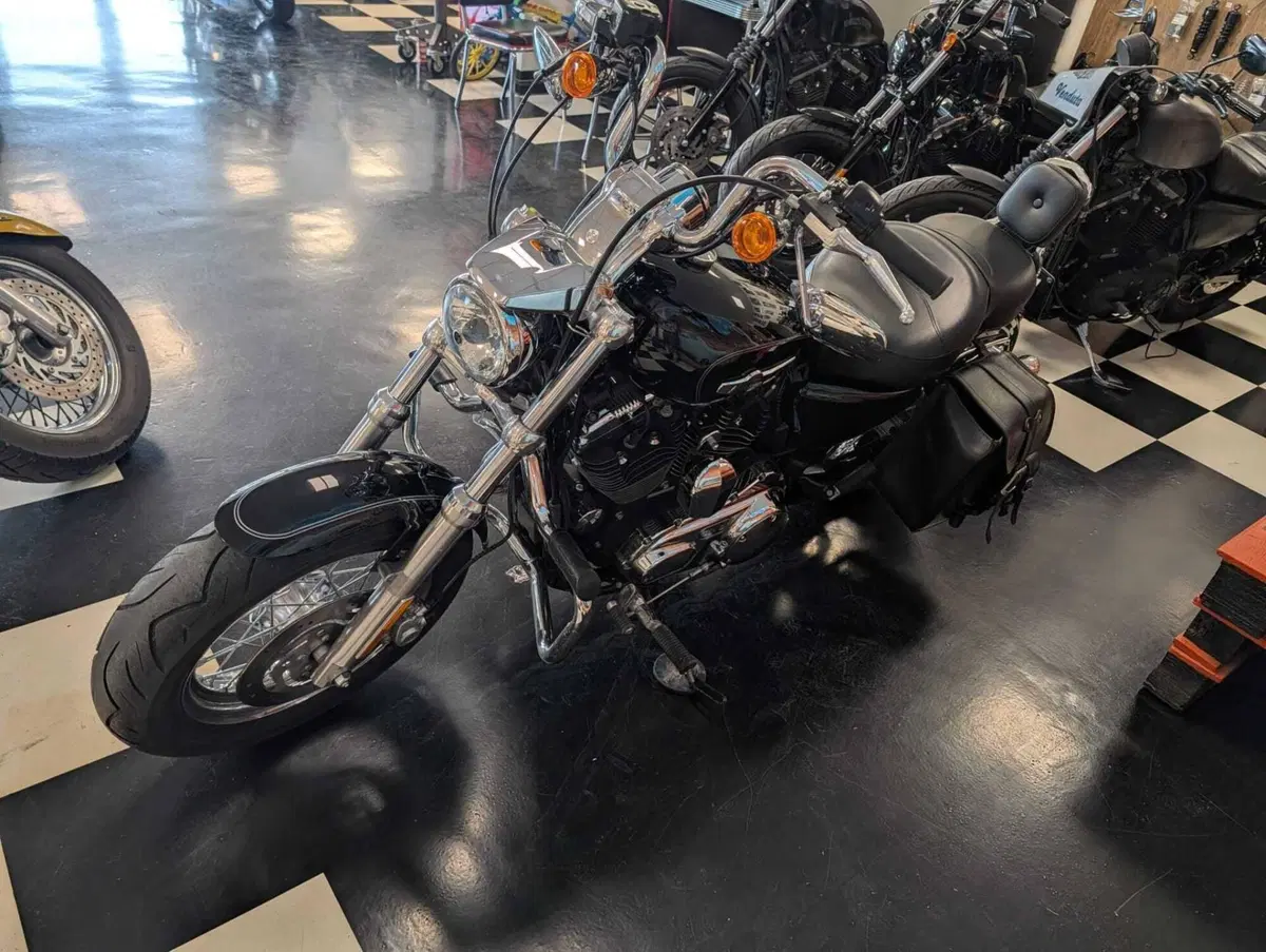 Harley-Davidson 1200 Custom (2007 - 13) - XL 1200C (7)