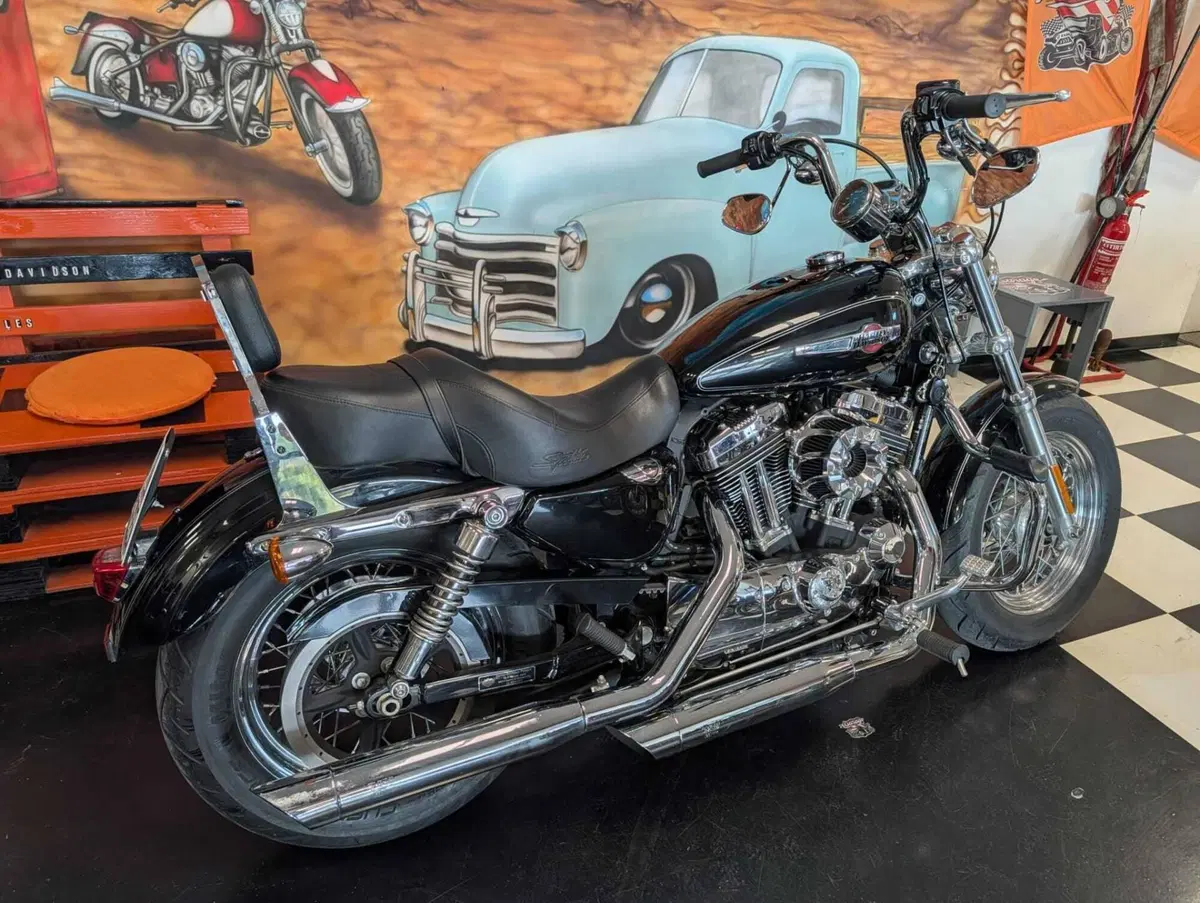 Harley-Davidson 1200 Custom (2007 - 13) - XL 1200C (8)