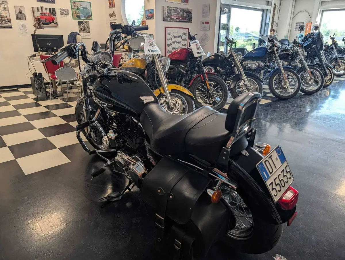 Harley-Davidson 1200 Custom (2007 - 13) - XL 1200C (9)