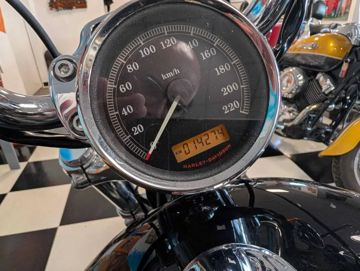 Harley-Davidson 1200 Custom (2007 - 13) - XL 1200C (10)