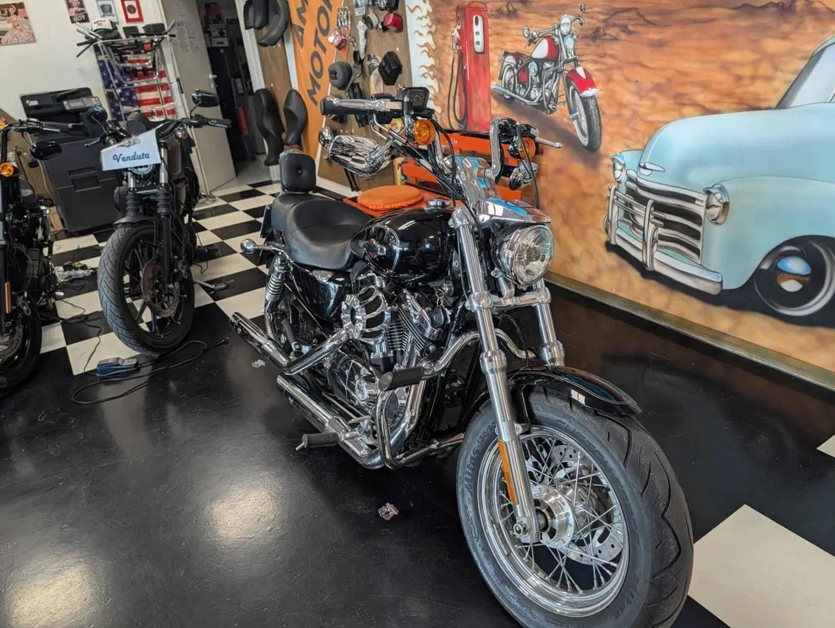 Harley-Davidson 1200 Custom (2007 - 13) - XL 1200C (11)