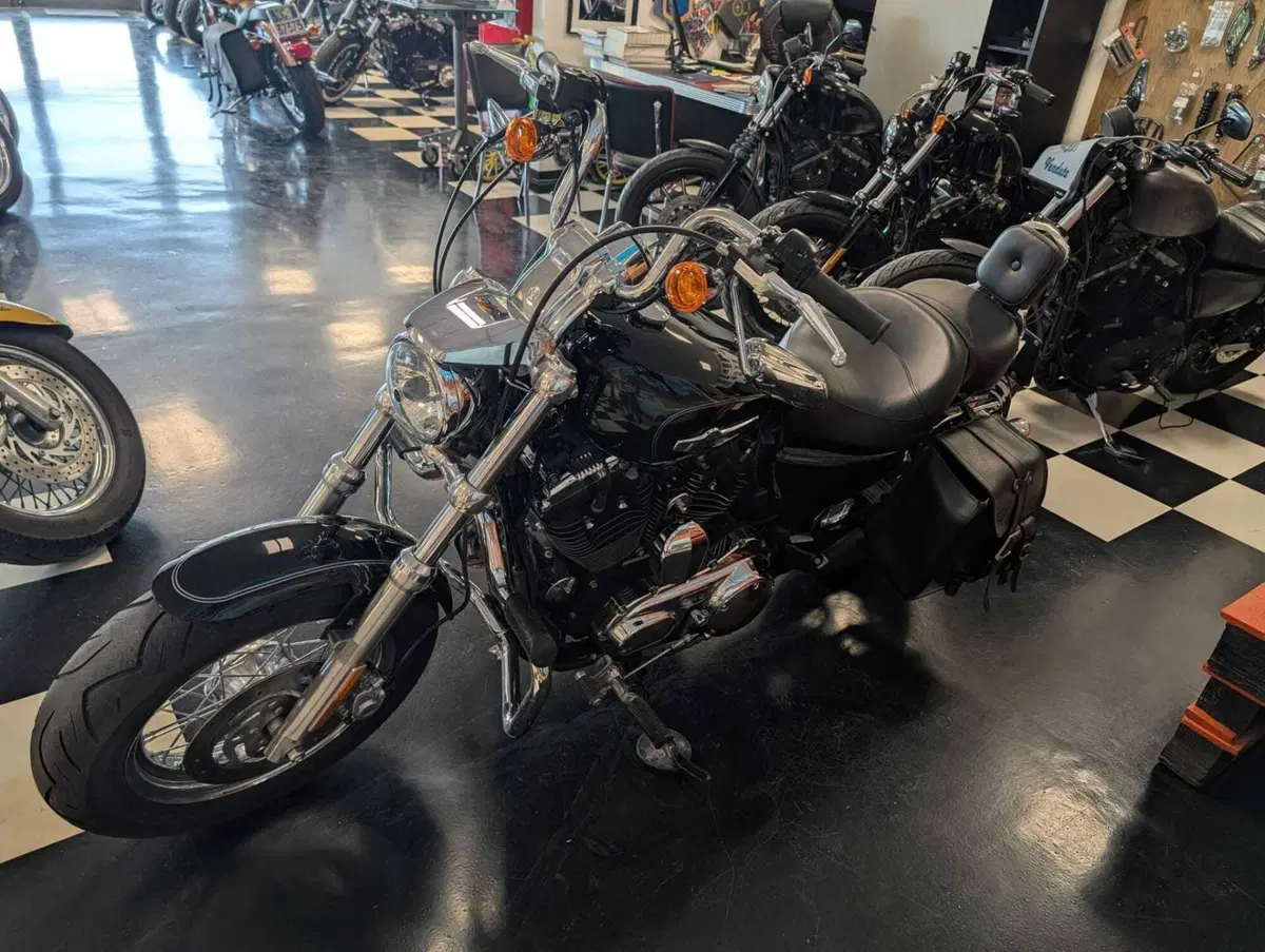 Harley-Davidson 1200 Custom (2007 - 13) - XL 1200C (12)