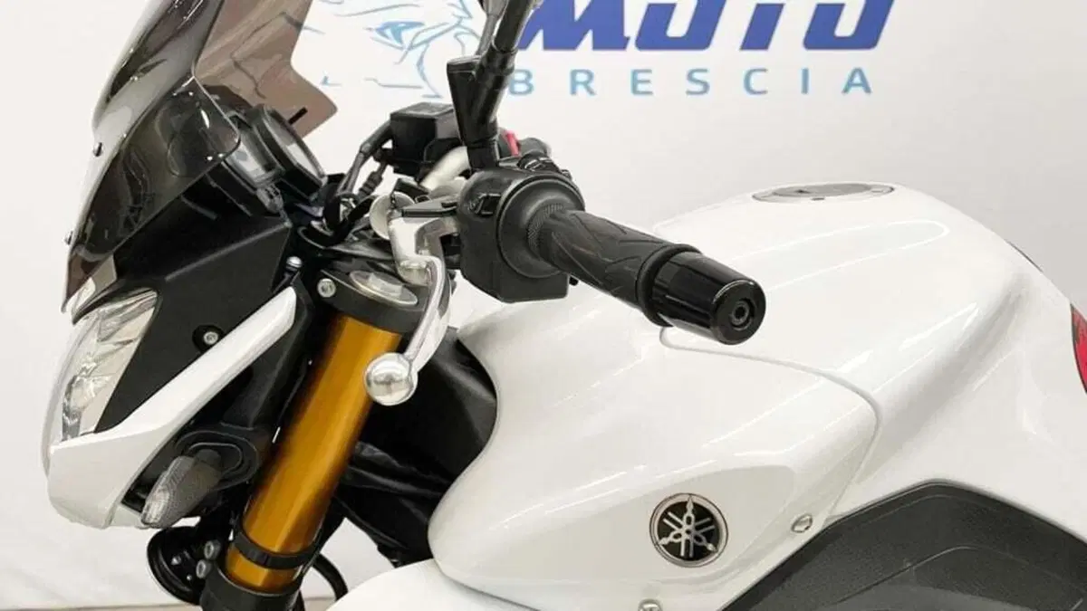 Yamaha FZ8 (2010 - 12) (9)