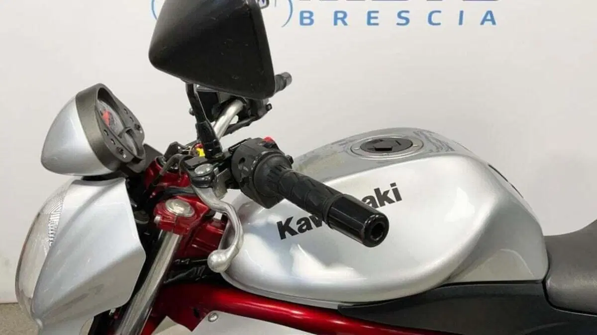 Kawasaki ER-6N (2005 - 08) (13)