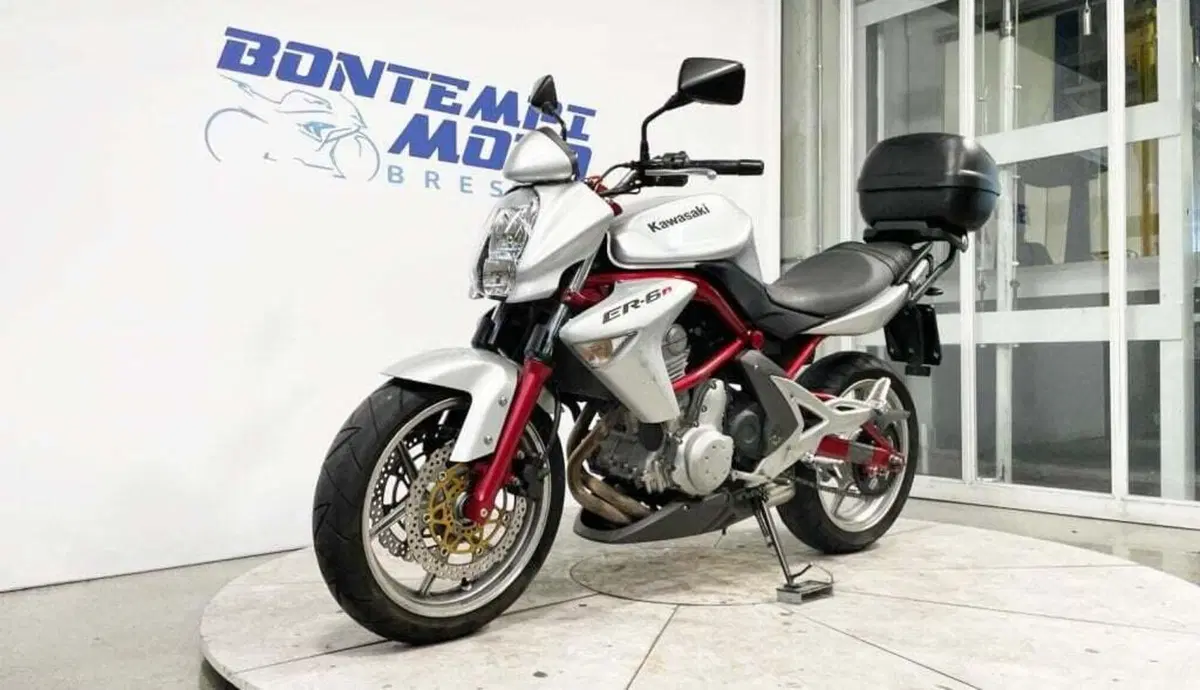 Kawasaki ER-6N (2005 - 08) (14)