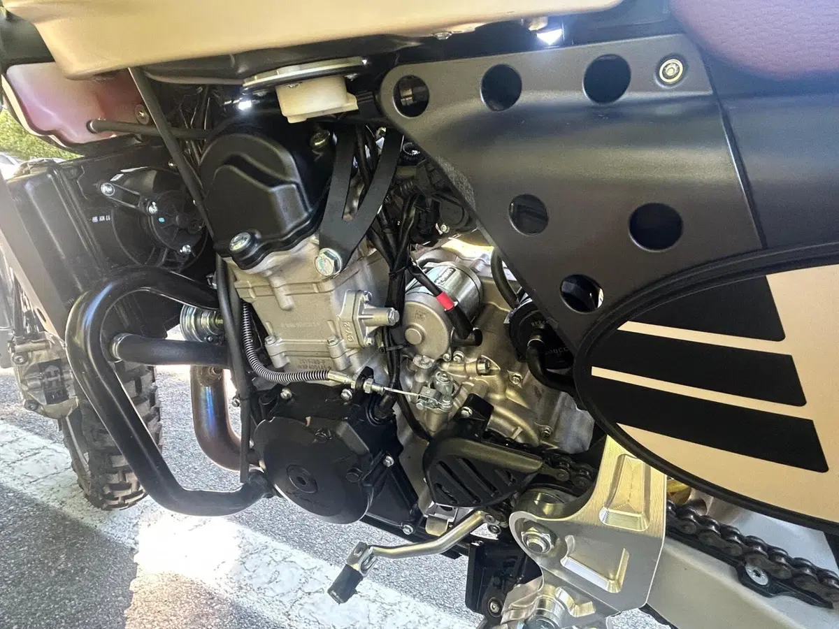 Fantic Motor Caballero 500 Rally (2024) (9)