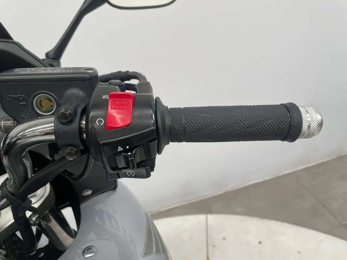 Honda CBF 600 (2004 - 06) (15)