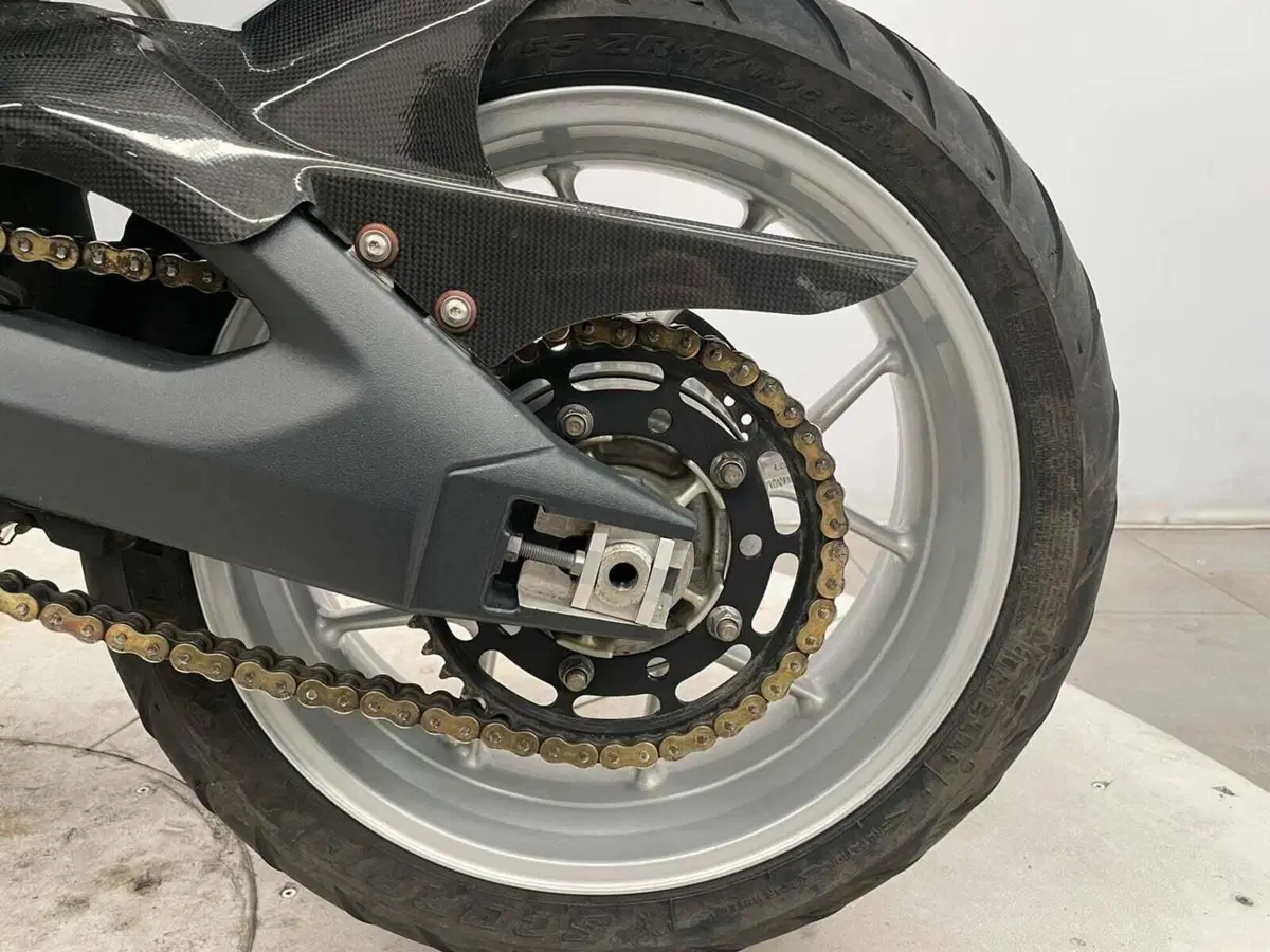 Triumph Tiger 1050 ABS (2006 - 12) (17)