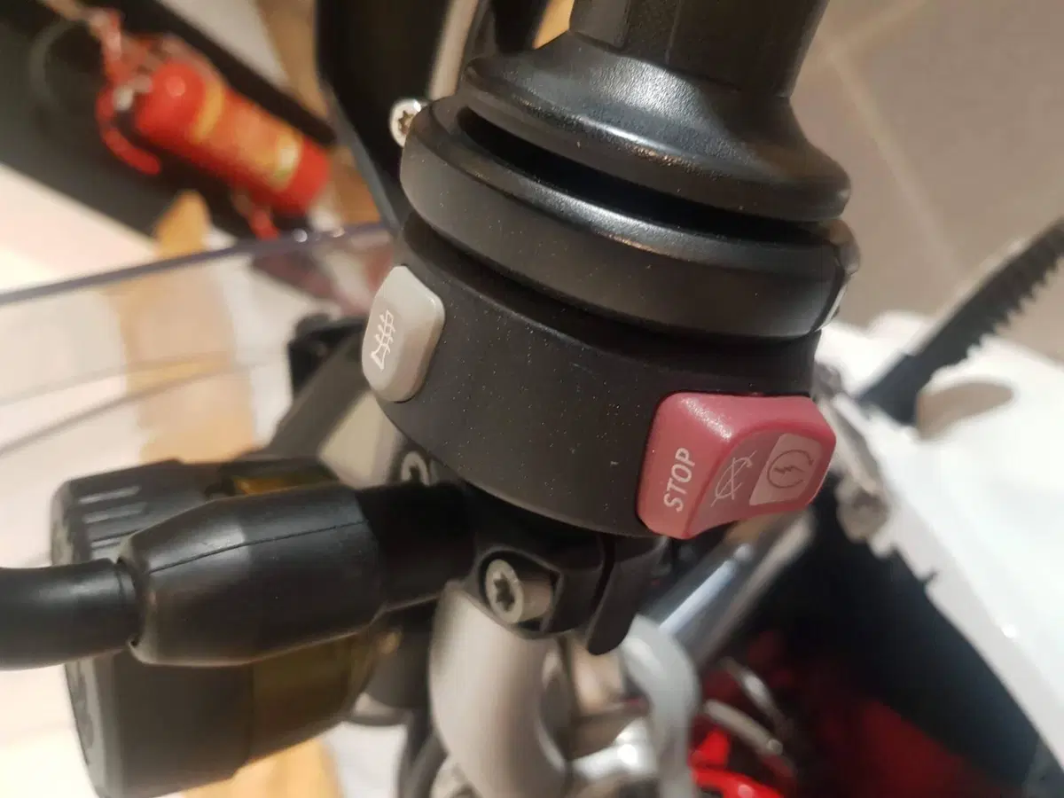 Bmw F 700 GS (2016 - 18) (12)