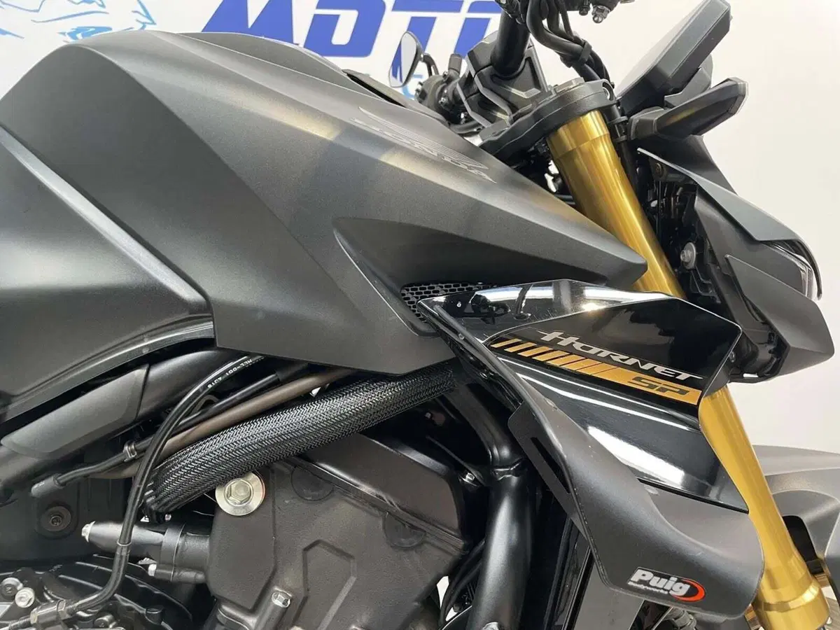 Honda CB 1000 Hornet SP (2025 - 26) (3)