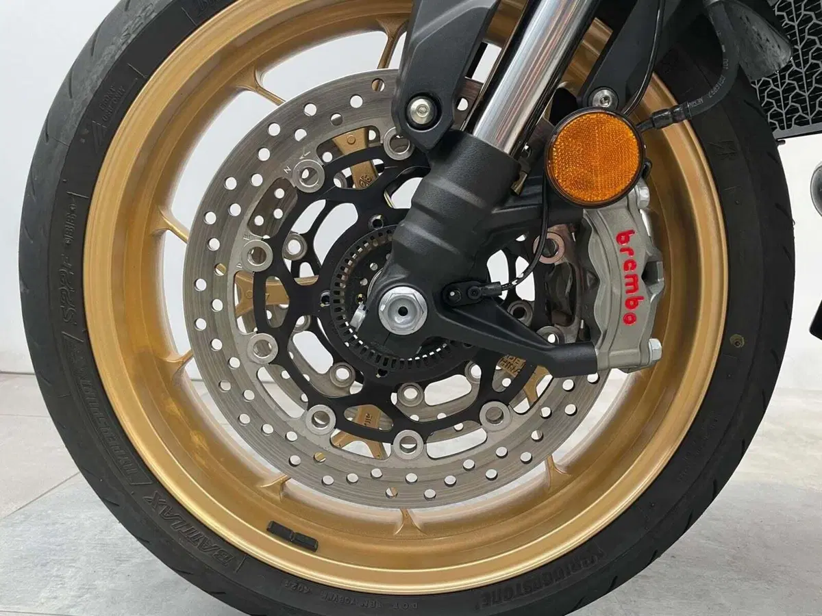 Honda CB 1000 Hornet SP (2025 - 26) (16)