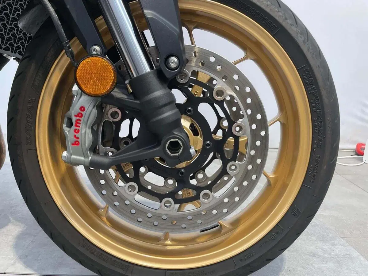 Honda CB 1000 Hornet SP (2025 - 26) (20)