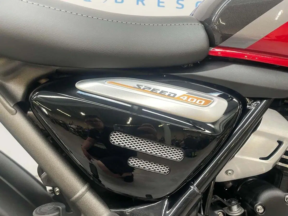 Triumph Speed 400 (2024 - 26) (16)
