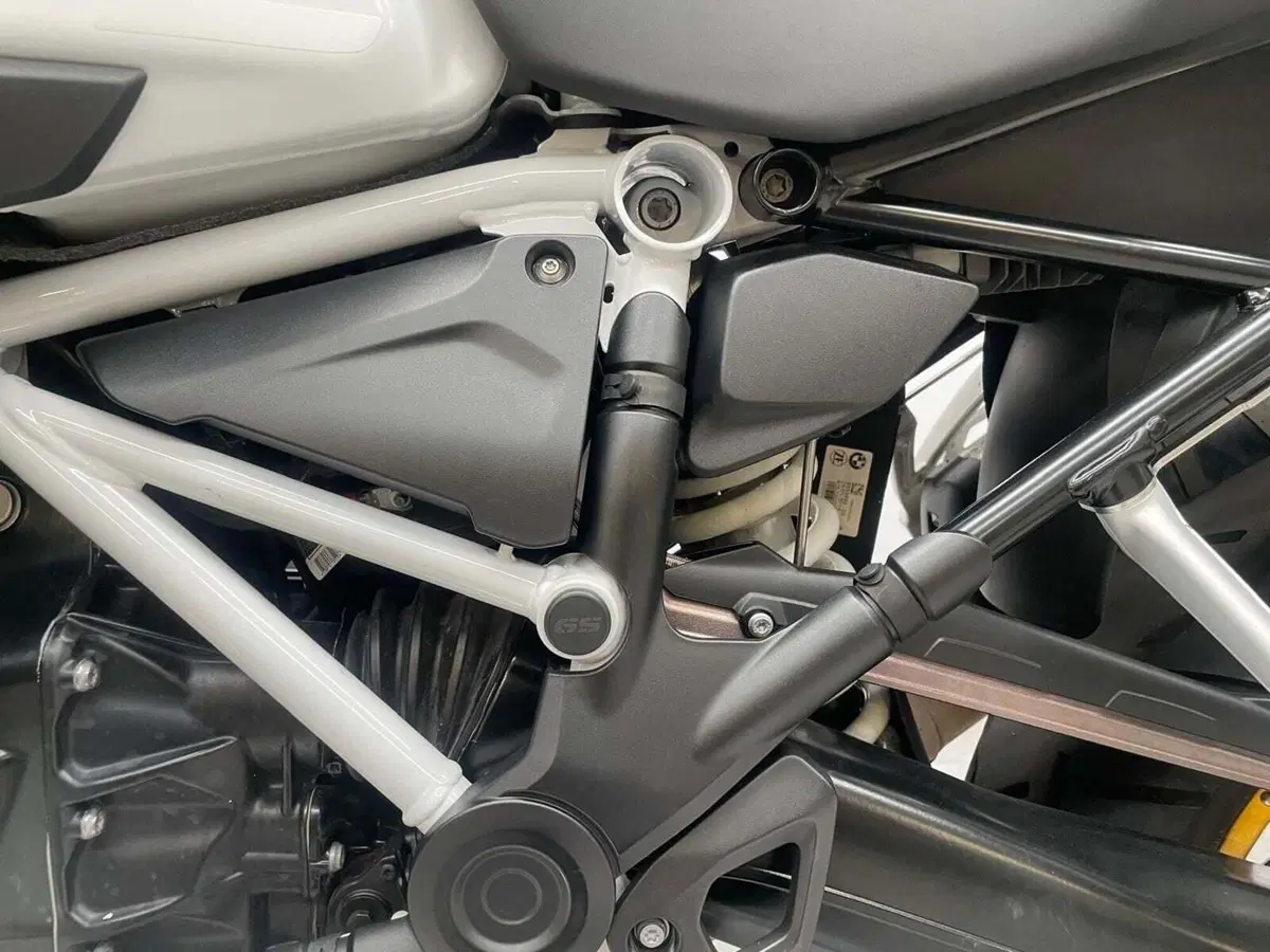 Bmw R 1250 GS Adventure (2019 - 20) (16)