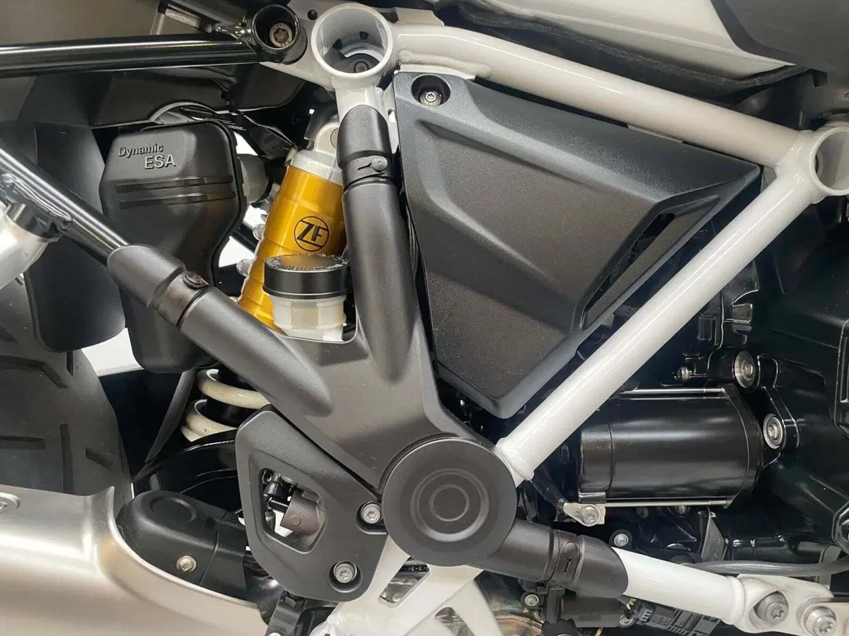 Bmw R 1250 GS Adventure (2019 - 20) (6)