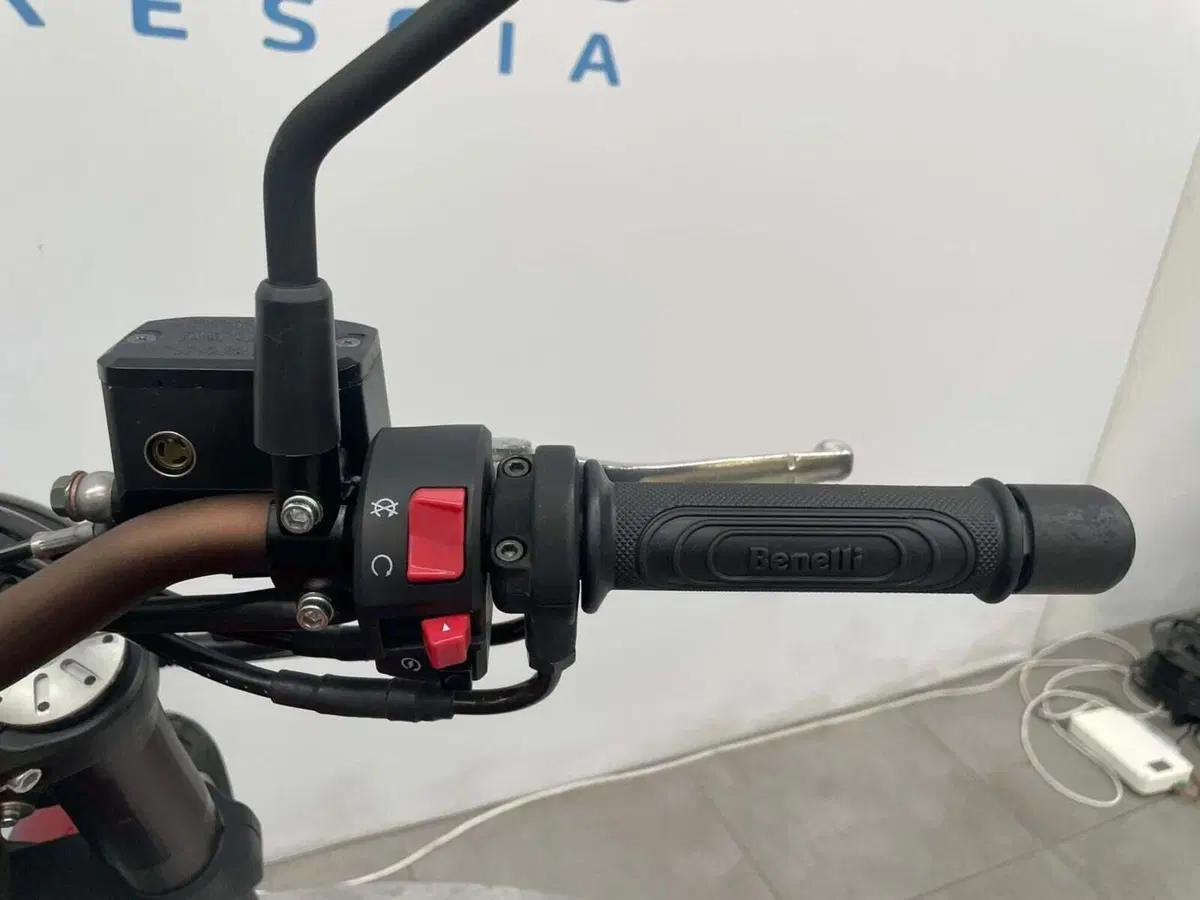 Benelli Leoncino 500 Trail ABS (2017 - 20) (7)