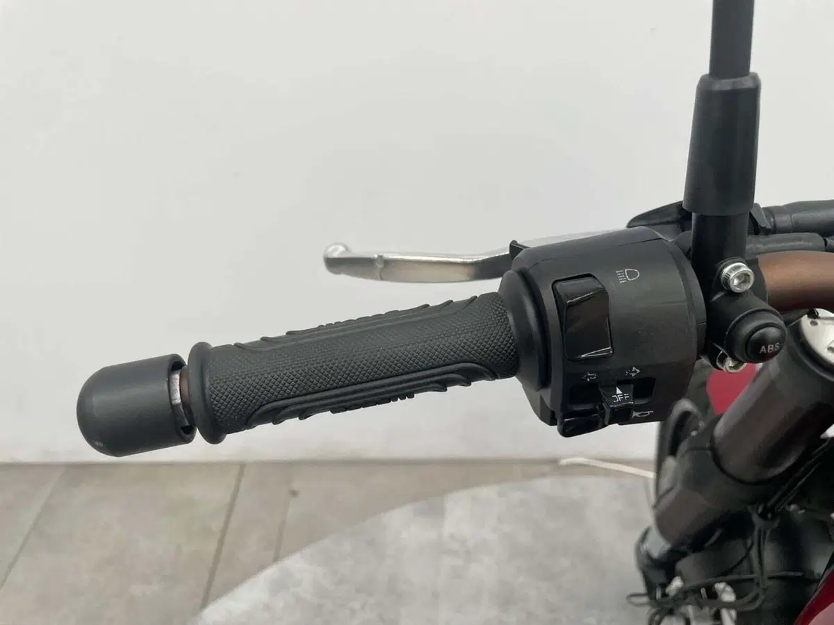 Benelli Leoncino 500 Trail ABS (2017 - 20) (8)