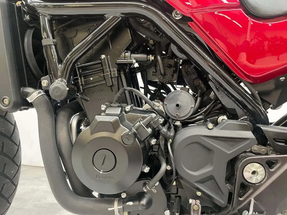Benelli Leoncino 500 Trail ABS (2017 - 20) (10)