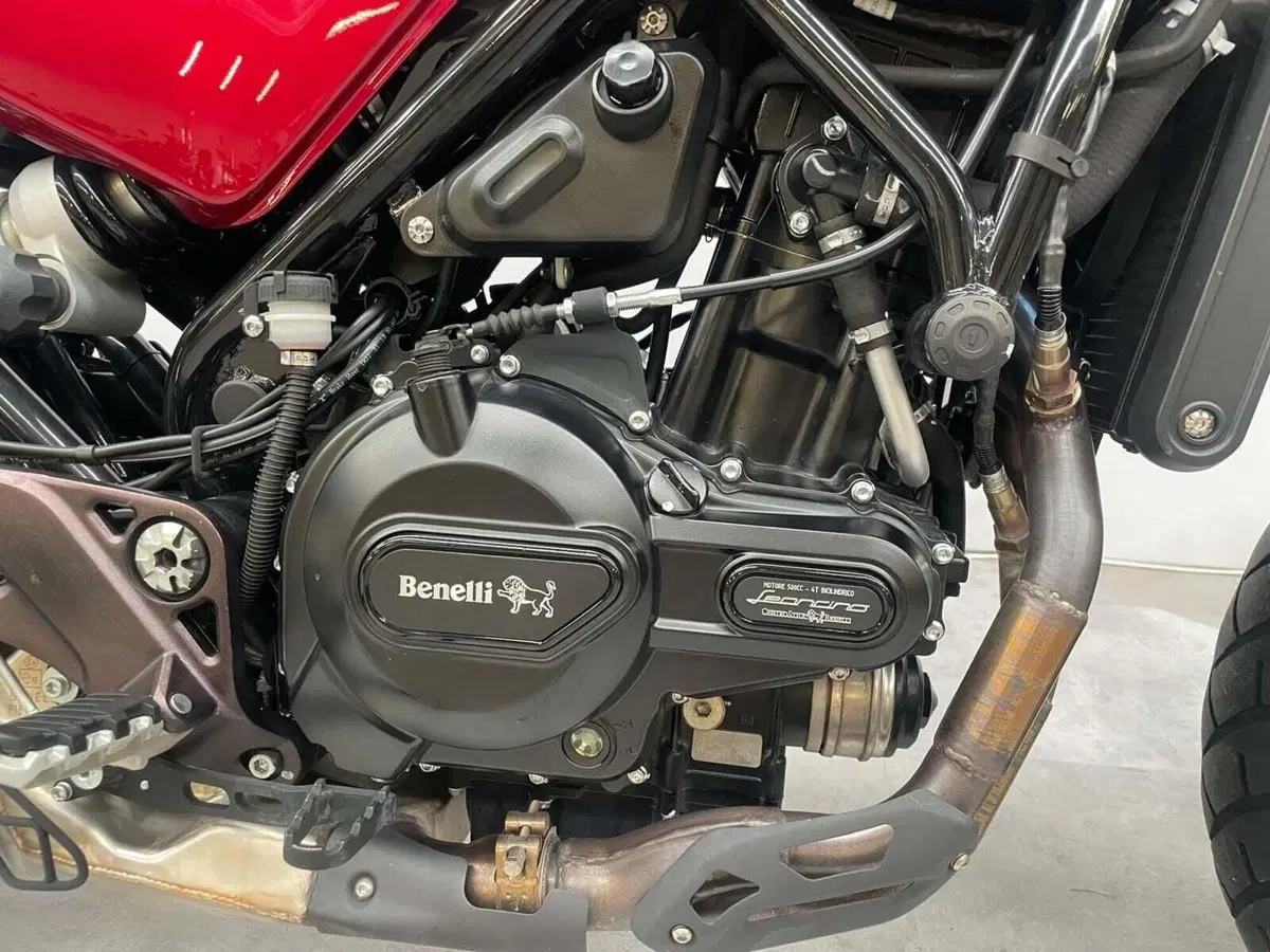 Benelli Leoncino 500 Trail ABS (2017 - 20) (11)