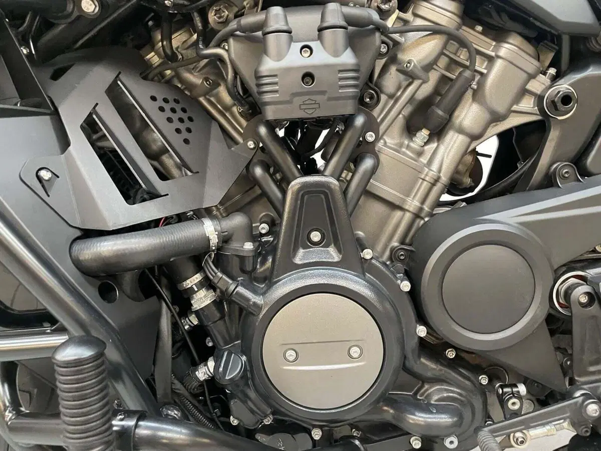 Harley-Davidson Pan America 1250 (2020 - 25) (4)