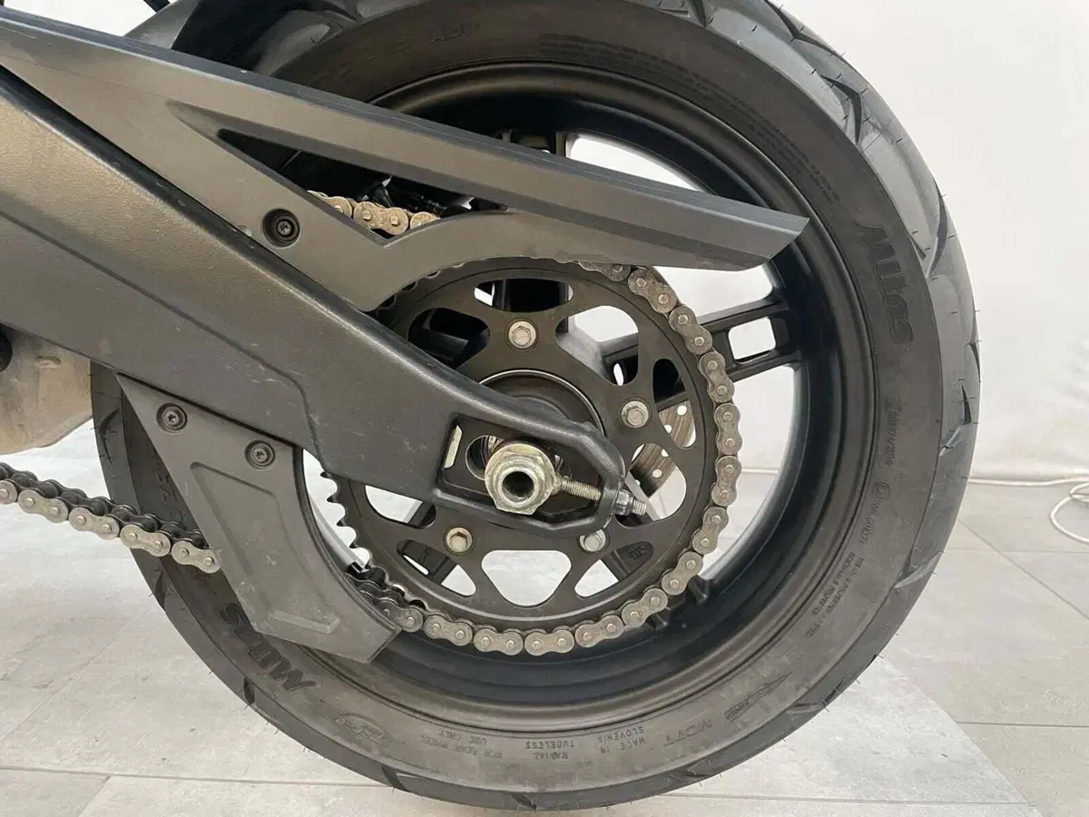 Harley-Davidson Pan America 1250 (2020 - 25) (15)