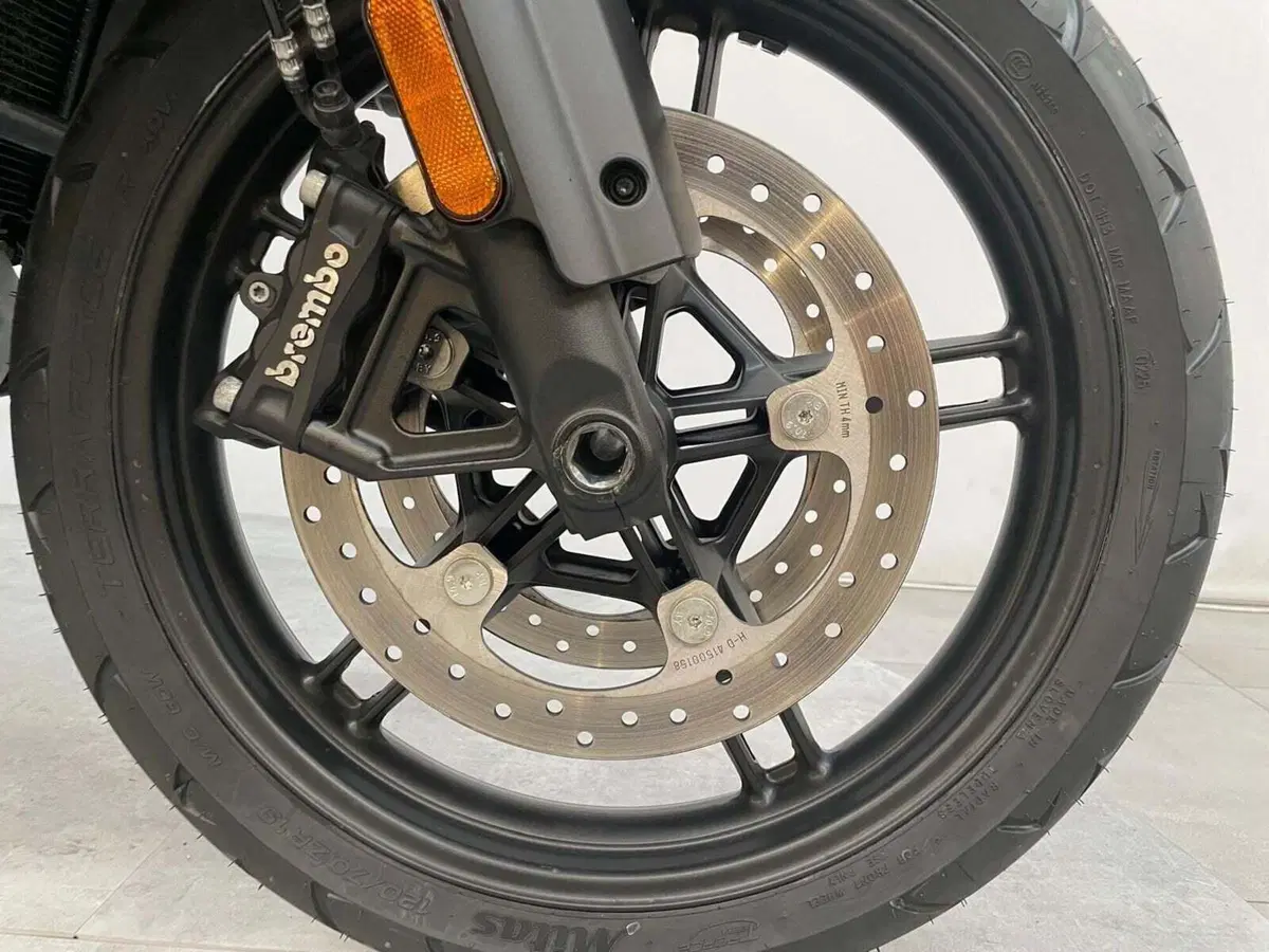 Harley-Davidson Pan America 1250 (2020 - 25) (18)