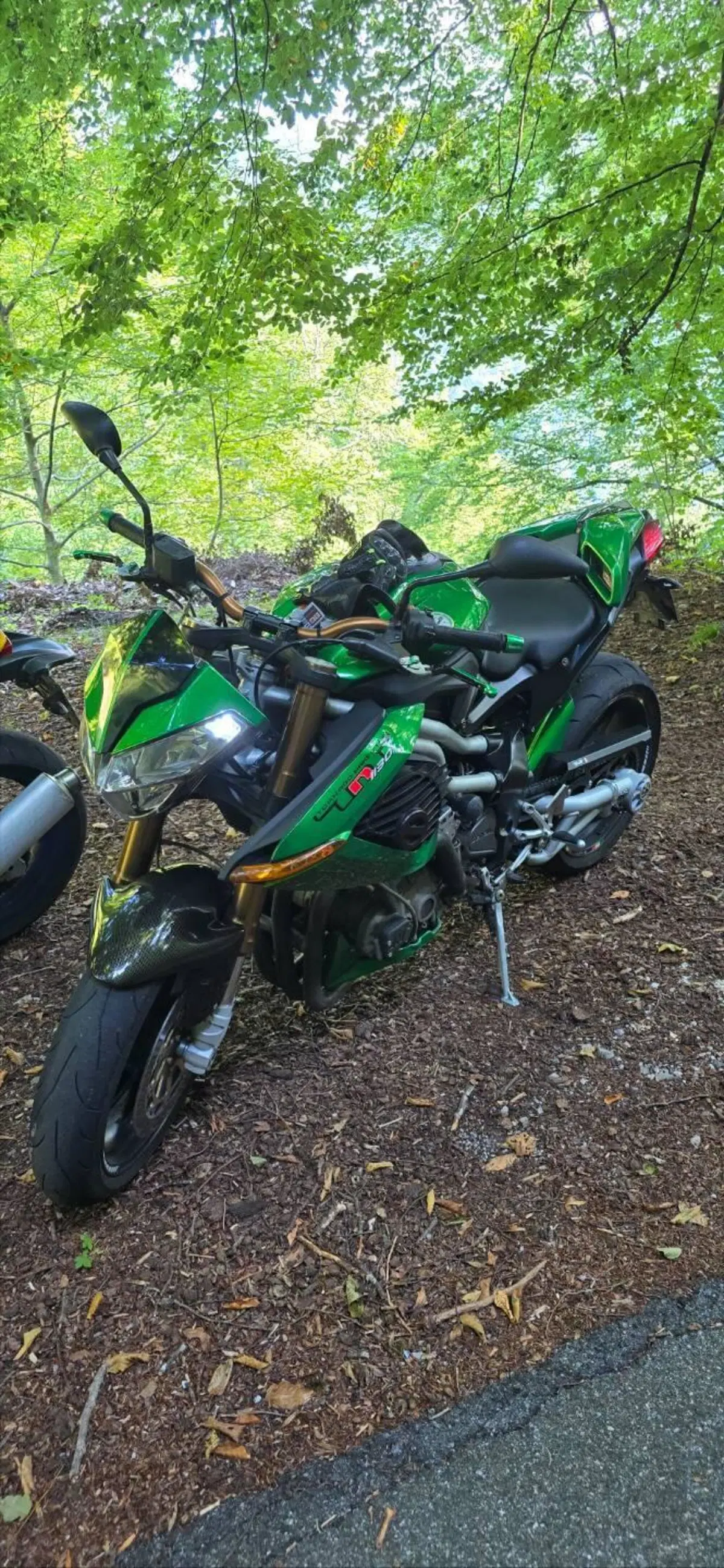 Benelli TNT 1130 (2004 - 08) (3)