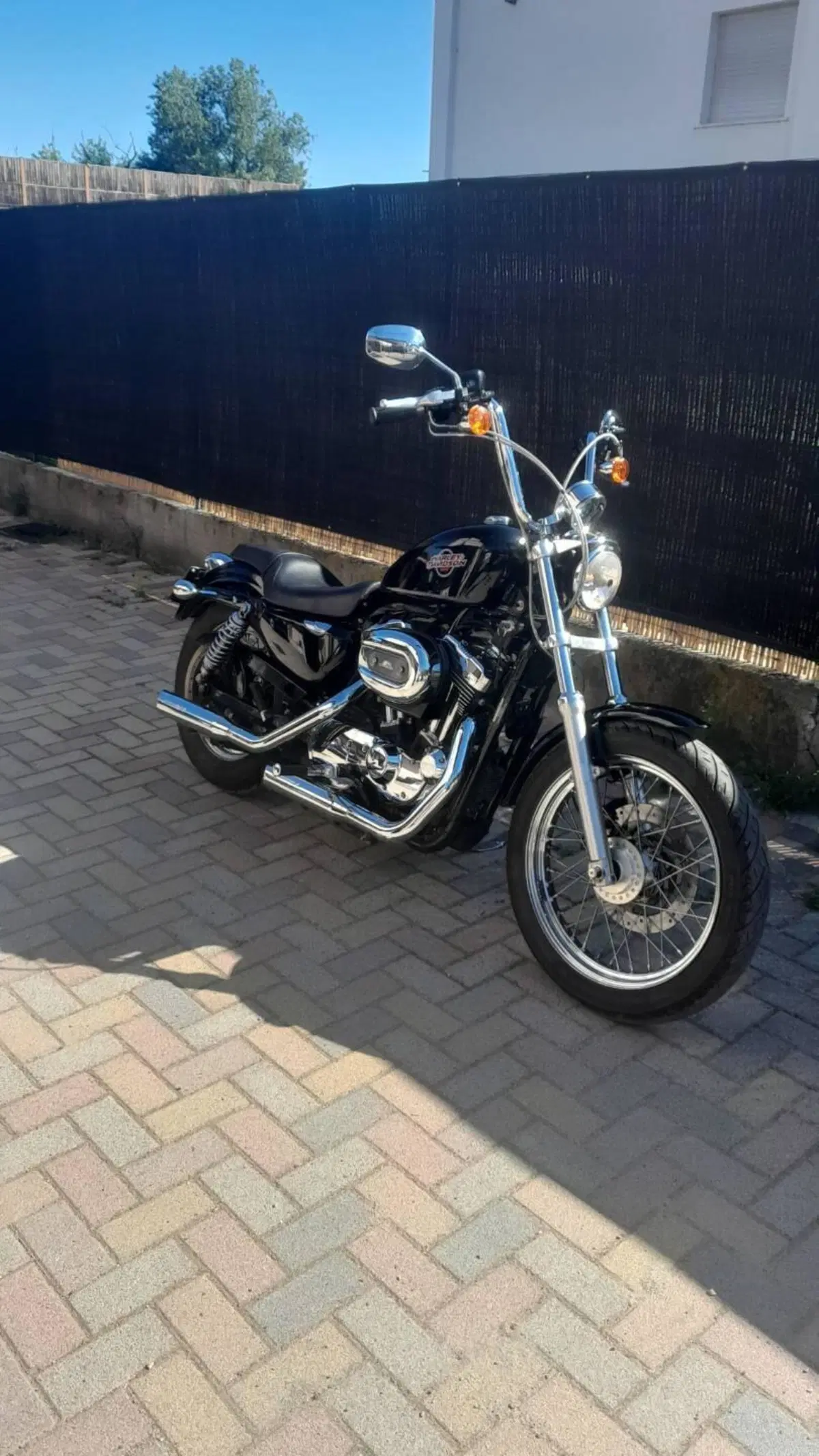 Harley-Davidson 1200 Low (2006 - 07) - XL 1200L