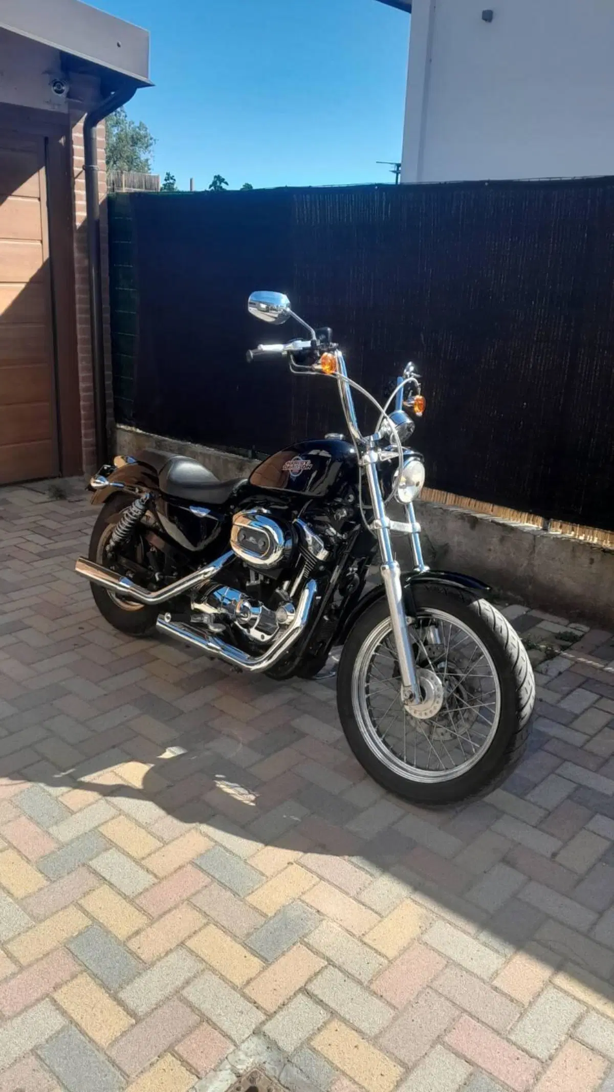 Harley-Davidson 1200 Low (2006 - 07) - XL 1200L (3)