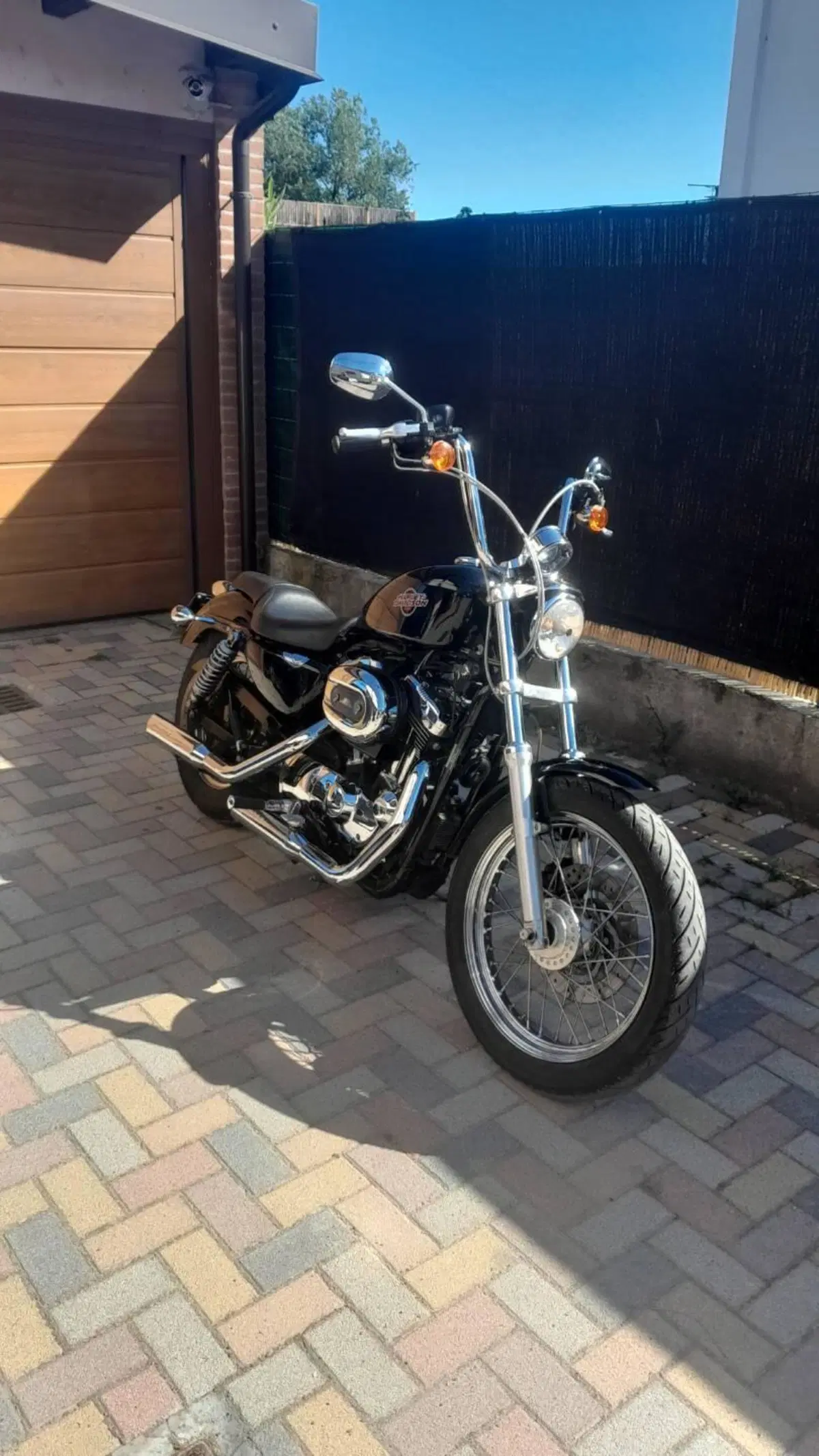 Harley-Davidson 1200 Low (2006 - 07) - XL 1200L (4)