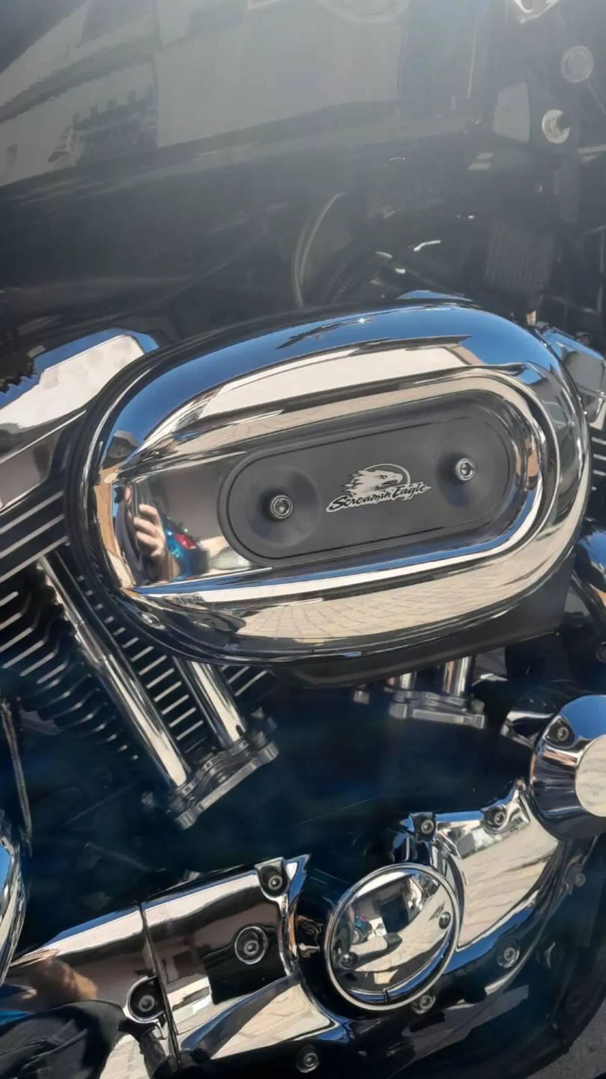 Harley-Davidson 1200 Low (2006 - 07) - XL 1200L (8)