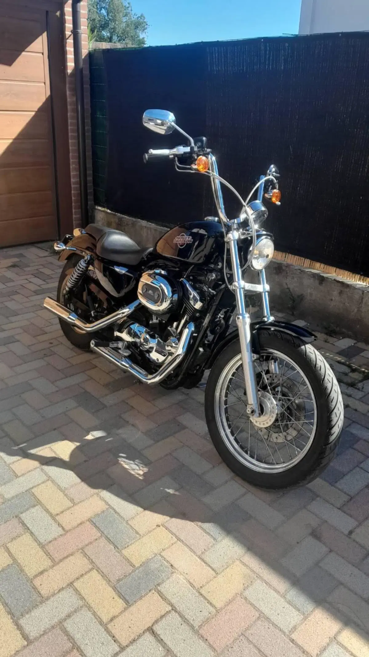 Harley-Davidson 1200 Low (2006 - 07) - XL 1200L (9)