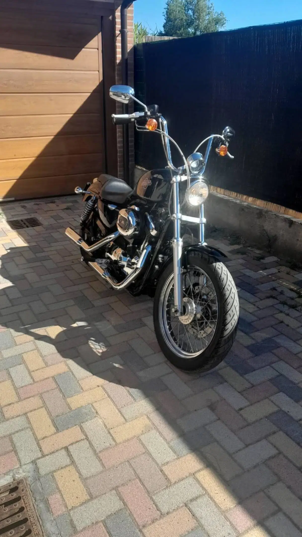 Harley-Davidson 1200 Low (2006 - 07) - XL 1200L (10)