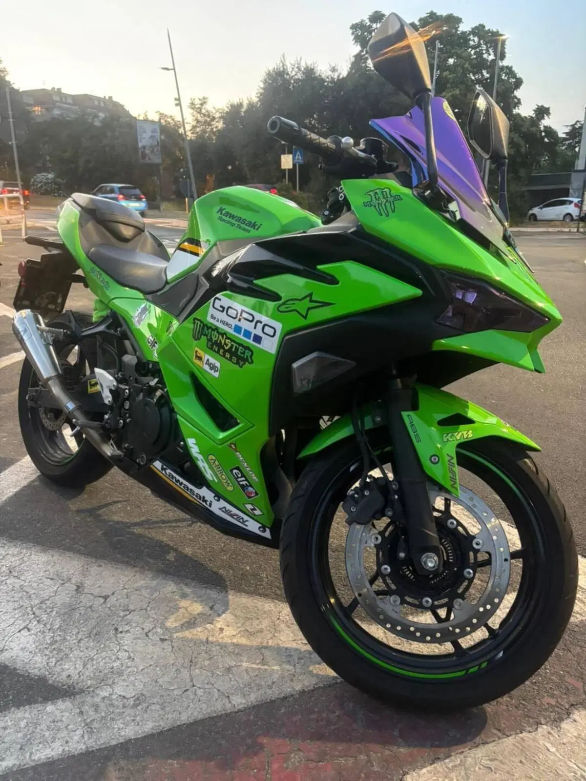 Kawasaki Ninja 500 SE (2024 - 26)